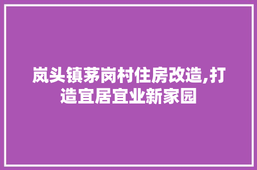 岚头镇茅岗村住房改造,打造宜居宜业新家园