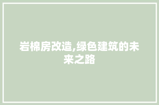 岩棉房改造,绿色建筑的未来之路 墙面装饰