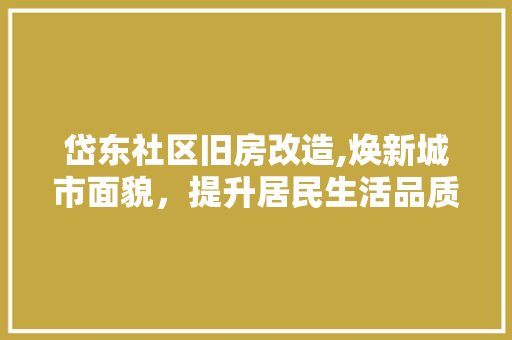 岱东社区旧房改造,焕新城市面貌，提升居民生活品质 墙面装饰