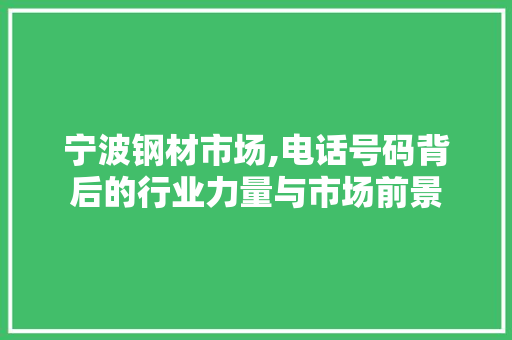 宁波钢材市场,电话号码背后的行业力量与市场前景