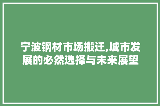 宁波钢材市场搬迁,城市发展的必然选择与未来展望