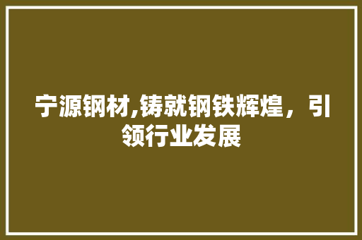 宁源钢材,铸就钢铁辉煌，引领行业发展