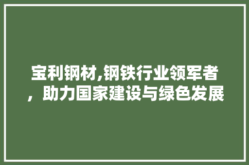 宝利钢材,钢铁行业领军者，助力国家建设与绿色发展