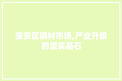 宝安区钢材市场,产业升级的坚实基石