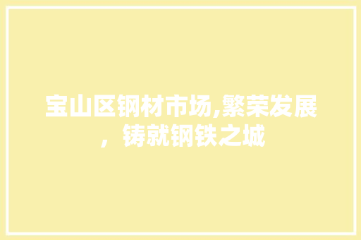宝山区钢材市场,繁荣发展，铸就钢铁之城