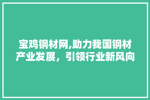 宝鸡钢材网,助力我国钢材产业发展，引领行业新风向