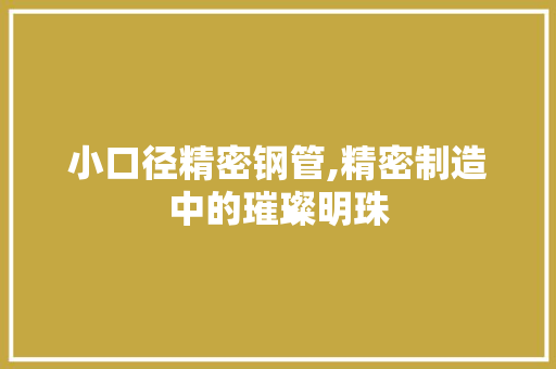 小口径精密钢管,精密制造中的璀璨明珠