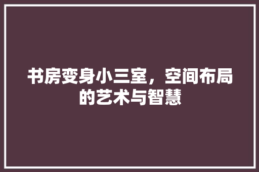 书房变身小三室，空间布局的艺术与智慧