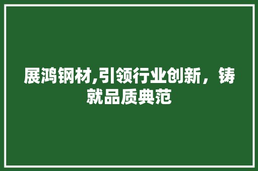 展鸿钢材,引领行业创新，铸就品质典范 墙面装饰