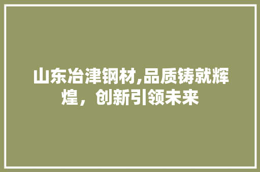 山东冶津钢材,品质铸就辉煌，创新引领未来