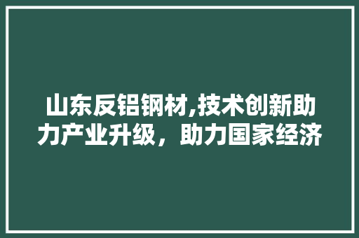 山东反铝钢材,技术创新助力产业升级，助力国家经济高质量发展