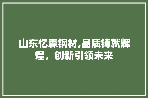 山东忆森钢材,品质铸就辉煌，创新引领未来