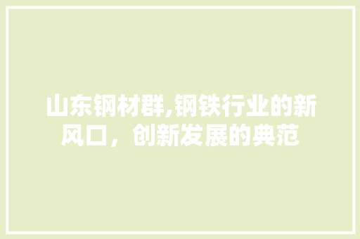 山东钢材群,钢铁行业的新风口，创新发展的典范