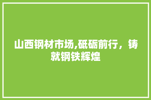 山西钢材市场,砥砺前行，铸就钢铁辉煌