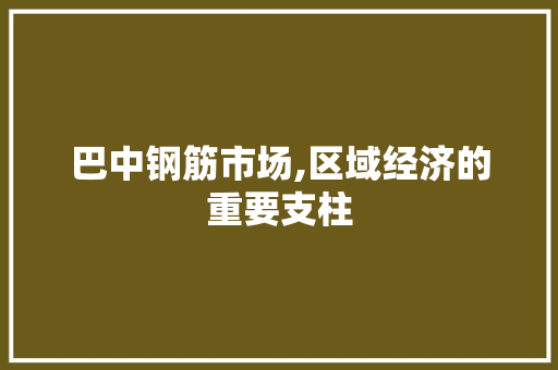 巴中钢筋市场,区域经济的重要支柱