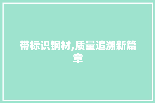 带标识钢材,质量追溯新篇章