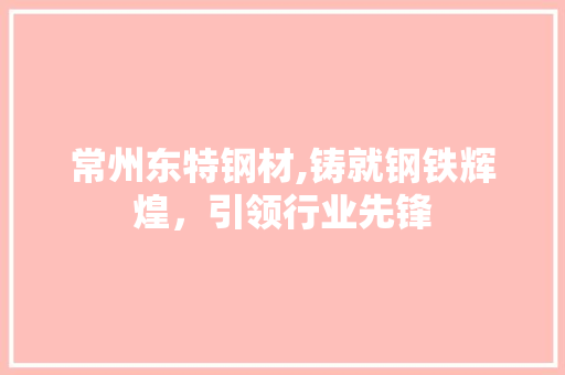 常州东特钢材,铸就钢铁辉煌，引领行业先锋