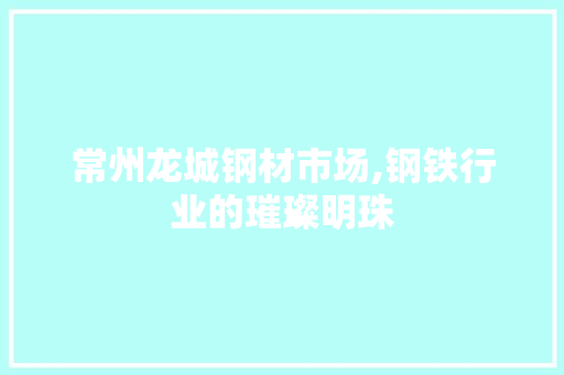 常州龙城钢材市场,钢铁行业的璀璨明珠