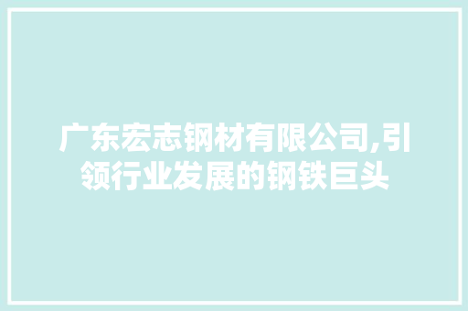 广东宏志钢材有限公司,引领行业发展的钢铁巨头