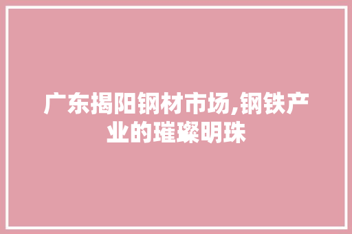 广东揭阳钢材市场,钢铁产业的璀璨明珠