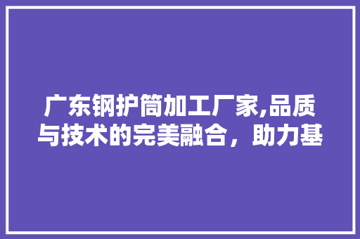 广东钢护筒加工厂家,品质与技术的完美融合，助力基础设施建设