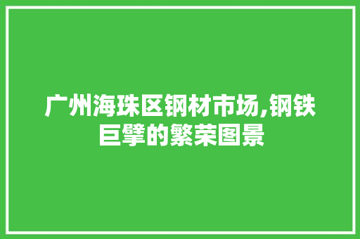 广州海珠区钢材市场,钢铁巨擘的繁荣图景
