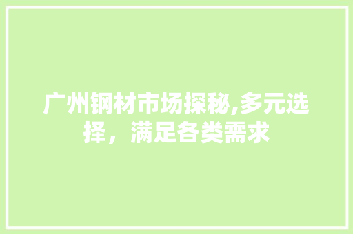 广州钢材市场探秘,多元选择，满足各类需求