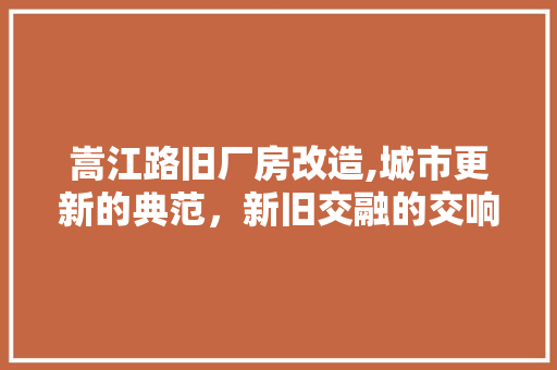 嵩江路旧厂房改造,城市更新的典范，新旧交融的交响曲