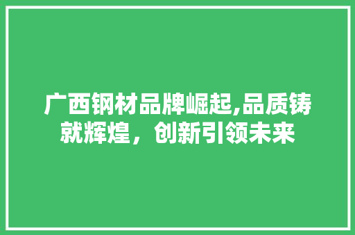 广西钢材品牌崛起,品质铸就辉煌，创新引领未来