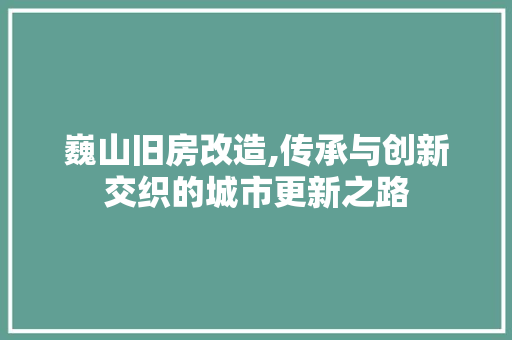 巍山旧房改造,传承与创新交织的城市更新之路