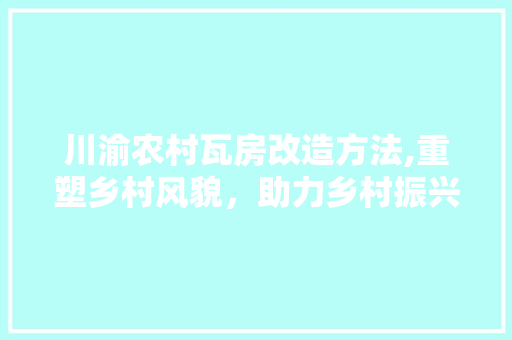 川渝农村瓦房改造方法,重塑乡村风貌，助力乡村振兴