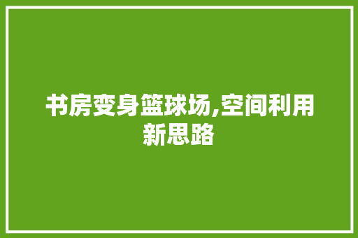 书房变身篮球场,空间利用新思路 装修攻略