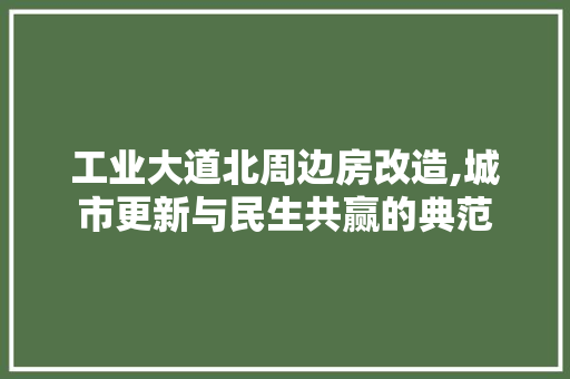工业大道北周边房改造,城市更新与民生共赢的典范