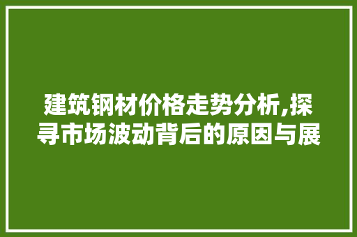 建筑钢材价格走势分析,探寻市场波动背后的原因与展望