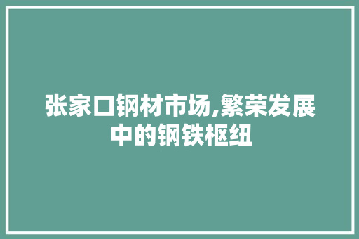 张家口钢材市场,繁荣发展中的钢铁枢纽