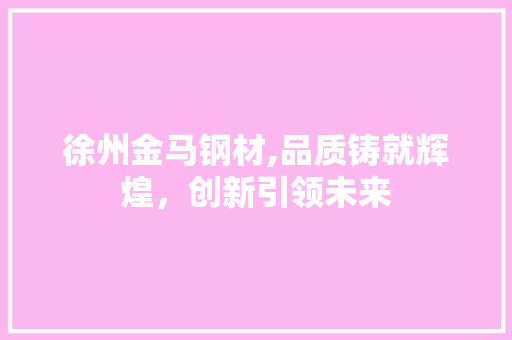 徐州金马钢材,品质铸就辉煌，创新引领未来