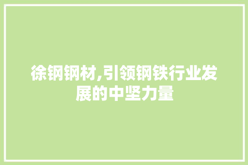 徐钢钢材,引领钢铁行业发展的中坚力量 墙面装饰