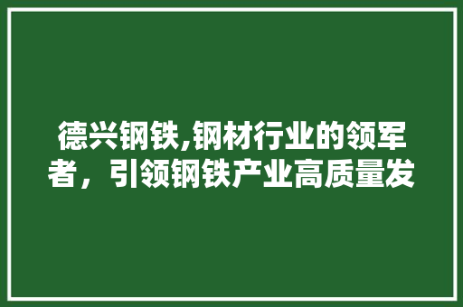 德兴钢铁,钢材行业的领军者，引领钢铁产业高质量发展