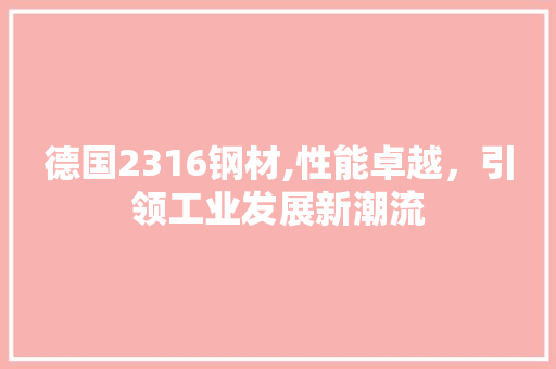 德国2316钢材,性能卓越，引领工业发展新潮流