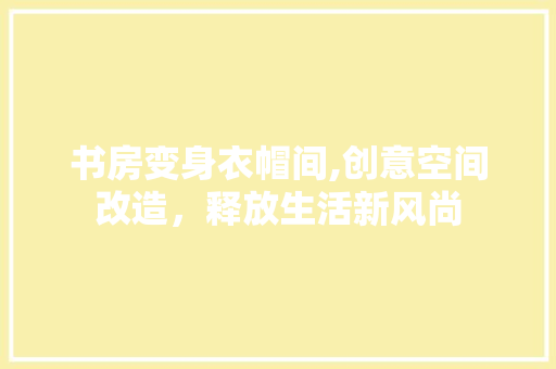 书房变身衣帽间,创意空间改造，释放生活新风尚