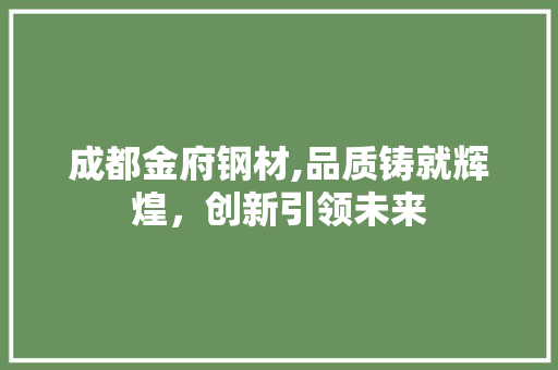 成都金府钢材,品质铸就辉煌，创新引领未来