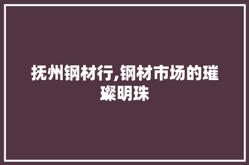抚州钢材行,钢材市场的璀璨明珠