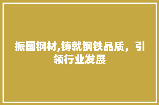 振国钢材,铸就钢铁品质，引领行业发展