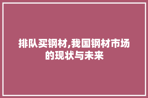 排队买钢材,我国钢材市场的现状与未来