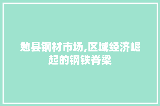 勉县钢材市场,区域经济崛起的钢铁脊梁