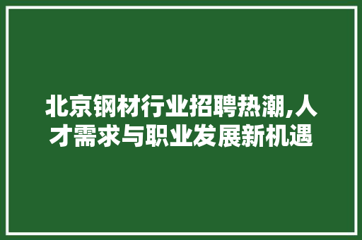 北京钢材行业招聘热潮,人才需求与职业发展新机遇