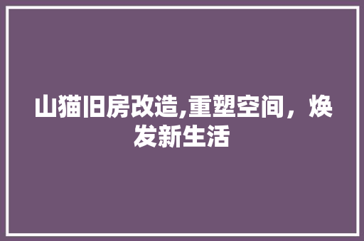 山猫旧房改造,重塑空间，焕发新生活