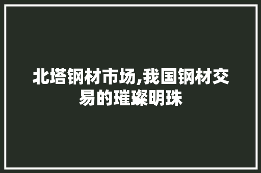 北塔钢材市场,我国钢材交易的璀璨明珠
