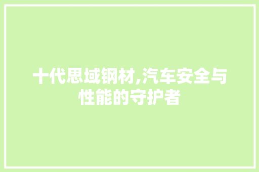 十代思域钢材,汽车安全与性能的守护者