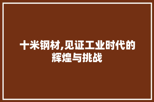 十米钢材,见证工业时代的辉煌与挑战